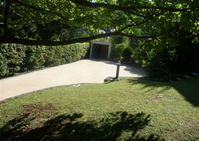Grüner Garten mit Einfahrt und Bäumen